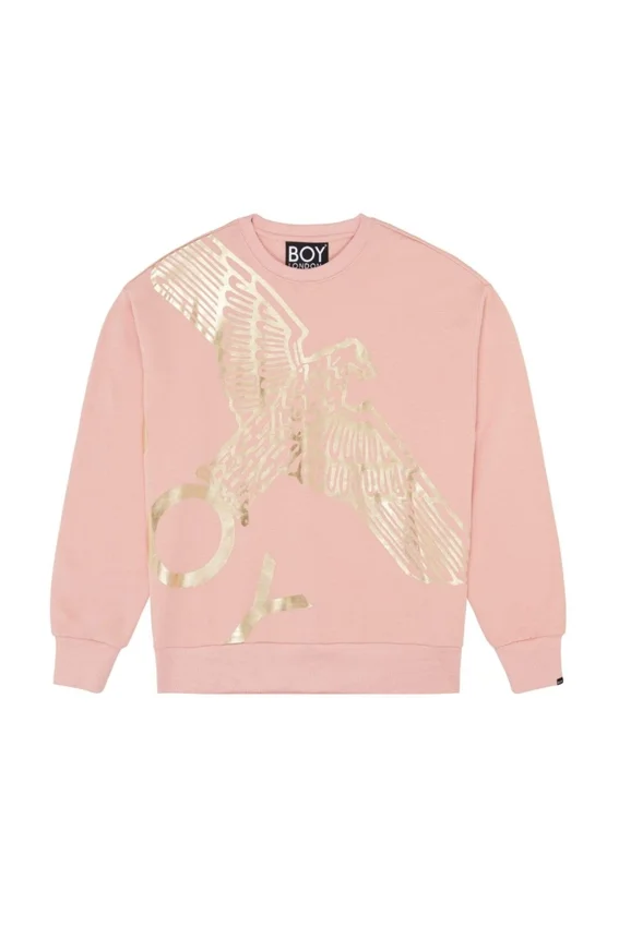 Boy Wingspan Sweatshirt